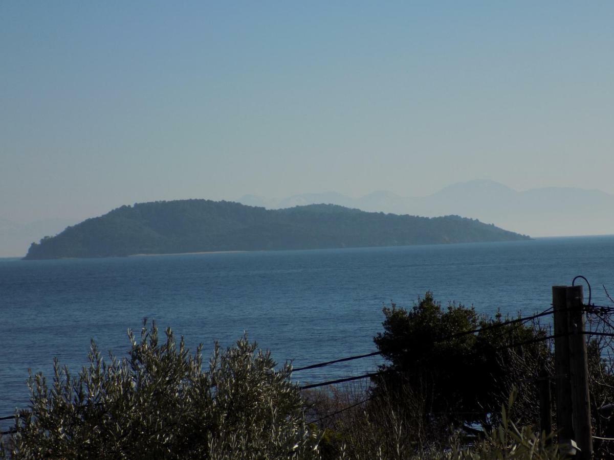 Rhodon House Apartment Skiathos Town Exterior photo